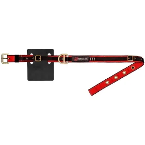 Cinturón Minero Grammy