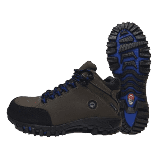 Botín North Fox Paranal